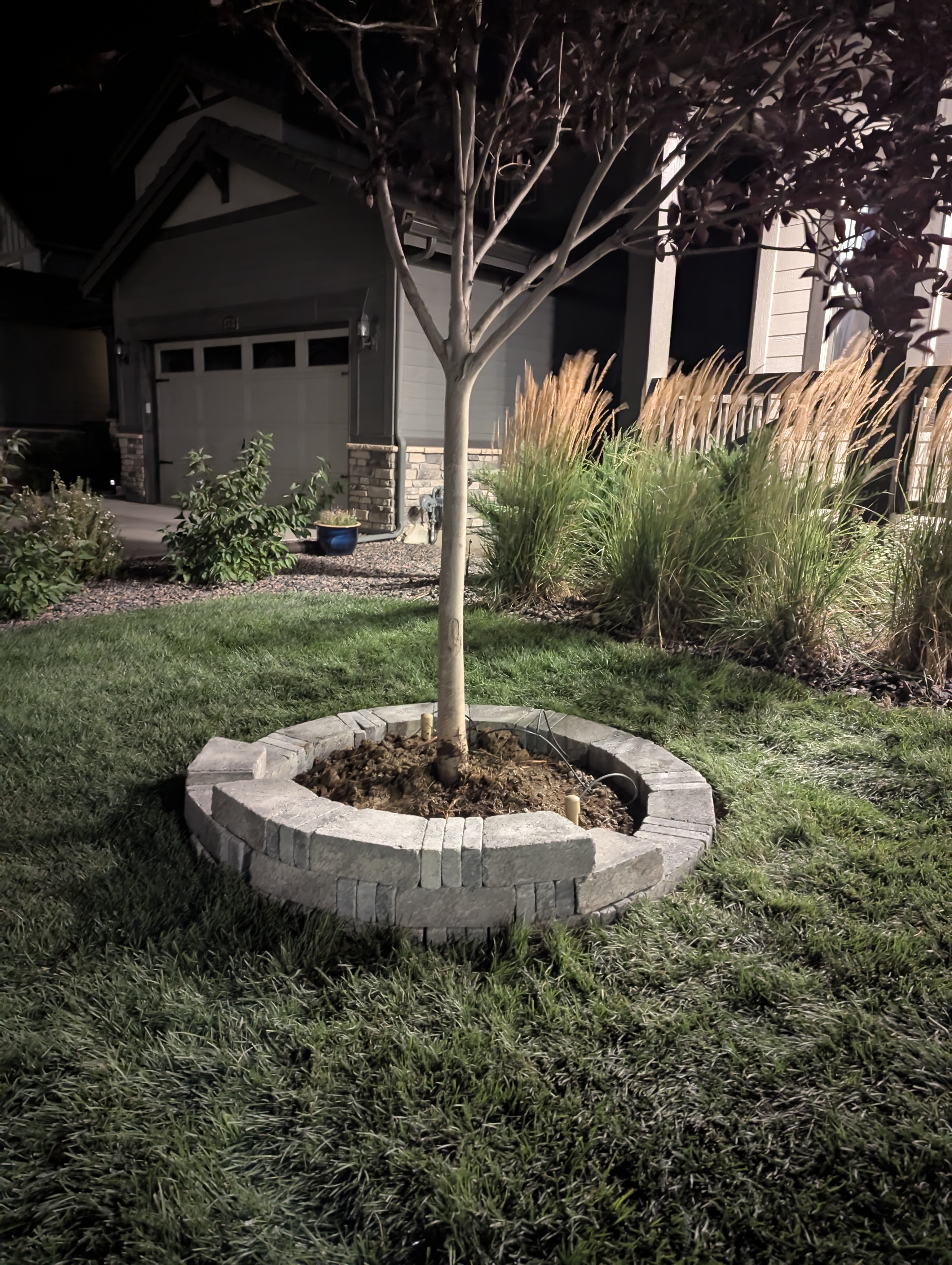 Tree Ring, Home Improvement, Morrison, Colorado